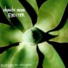 exciter