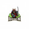 MrRonin